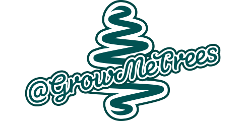 Sheffield Christmas Trees